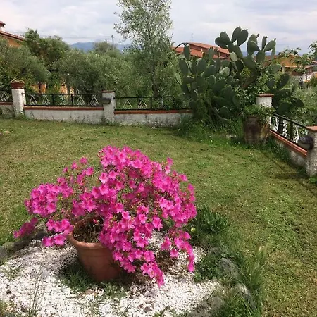 Hébergement de vacances Gli Ulivi Del Do